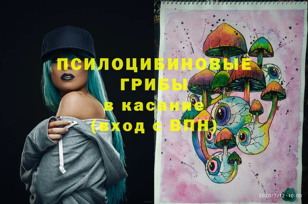 мяу мяу мука Кукмор