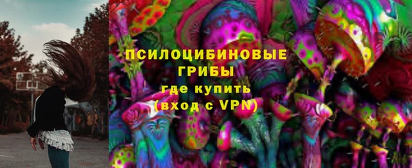 СК Кулебаки