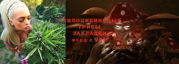 мяу мяу мука Кукмор