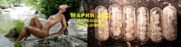 jwh Ладушкин